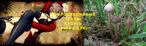 гидра Балахна