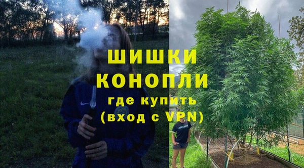 соль курить ск Белокуриха