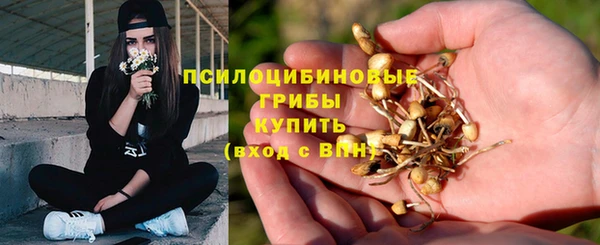 ECSTASY Баксан