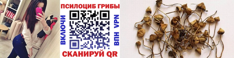 Галлюциногенные грибы прущие грибы  Шагонар 
