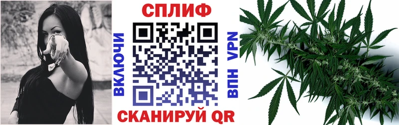 Каннабис LSD WEED  дарк нет как зайти  Шагонар 